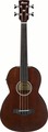 Ibanez AVNB1FE (brown violin semi-gloss) Basses acoustiques 4 cordes