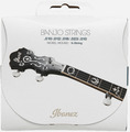 Ibanez IBJS5 / Banjo Strings, Nickel Wound (5-string / .010 - .010)