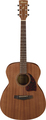 Ibanez PC12MH-OPN (open pore natural)