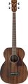 Ibanez PCBE12MH (Open Pore Natural) 4-String Acoustic Basses