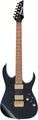 Ibanez RG421HPAH (blue wave black) E-Gitarren ST-Modelle