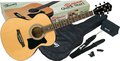 Ibanez VC50NJP (natural) Acoustic Guitar Beginner Packs