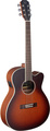 J.N Guitars EZR-OMCFI (sunburst)