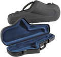 Jakob Winter Case for Alto Saxophone (grey / keilwerth stil)