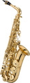 Jupiter JAS1100Q / Alto Saxophone (gold-lacquered)