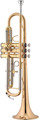 Jupiter JTR700RQ / Bb Trumpet (gold lacquered) Bb Trumpets