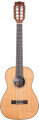 Kala Gloss Solid Cedar Top Acacia 8-String Baritone Ukulele / KA-SCAC-B8 (w/bag UB-B)