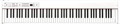 Korg D1 Stagepiano (88 keys - white)