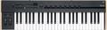 Korg Keystage 49 Tatiere Master fino a 49 Tasti