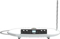 Moog Theremini Theremins