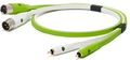 NEO d+ Class B - RCA  to XLR M (2m) Cables RCA a XLR