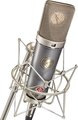 Neumann TLM 67 EA 87 Bundle