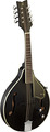 Ortega RMAE40SBK Acoustic-Electric A-Style Mandolin (satin black) Flat-backed Mandolins