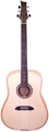 Riversong TRAD 1 N (spruce & cherry, no cut) Guitarra Western sem Fraque e sem Pickup