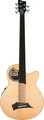 RockBass Alien Standard 5-String (Natural High Polish, fretless) Bassi Acustici a 5 Corde