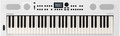 Roland GO:KEYS-5 (white) Claviers 61 Touches