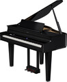 Roland GP-6 (polished ebony) Pianoforti Digitali a Coda