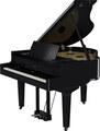 Roland GP-9M (polished ebony) Pianos à queue numérique