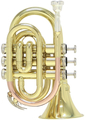 Roy Benson PT-101 / Bb Pocket Trumpet Bb Trumpets