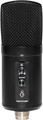 Stagg SUSM60D USB Double Condenser Mic