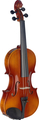 Stagg VN-4/4 L Tonewood Violin (incl. soft case)