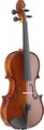 Stagg VN-4/4 Tonewood Violin (incl. soft case)