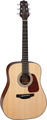 Takamine GD10-NS 2 (natural) Acoustic Guitars