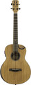 Traveler Guitar Redlands Concert Bass (mahogany)