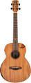 Traveler Guitar Redlands Concert Bass (mahogany, incl. gig bag)