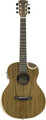 Traveler Guitar Redlands Concert (koa)