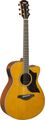 Yamaha AC1M Mk II (vintage natural finish) Cutaway Acoustic Guitars with Pickups
