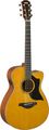 Yamaha AC5M ARE (vintage natural finish) Cutaway Acoustic Guitars with Pickups