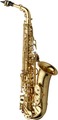 Yanagisawa A-WO10 / Alto Saxophone (gold-lacquer finish)