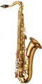 Yanagisawa T-WO2 Professional Model / Tenor Saxophone (gold-lacquer finish)