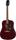 Epiphone Starling (wine red)